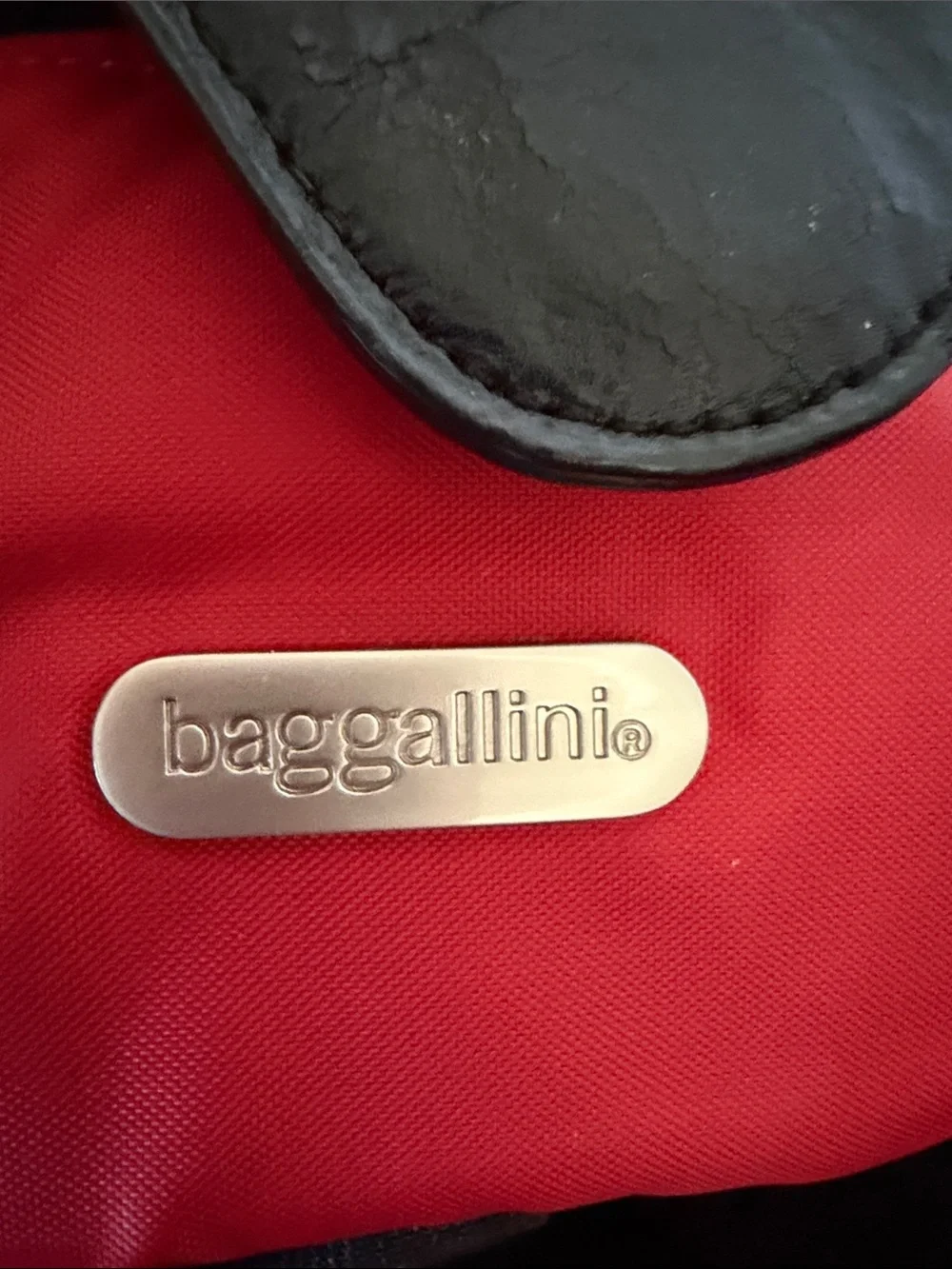 Baggallini Dark Brown travel Backpack